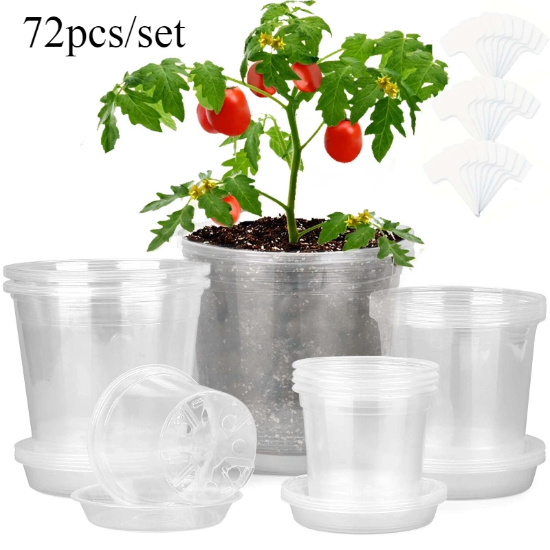 72pcs/set Clear Nursery Potspl - Net Pot 3 Inch ulasan dan harga
