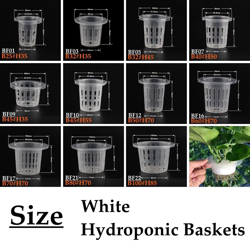 10Pcs White Hydroponic Soilles - Net Pot 3 Inch ulasan dan harga